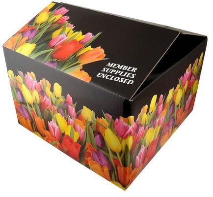 Recyclingfähige Tuck-Top-Boxen