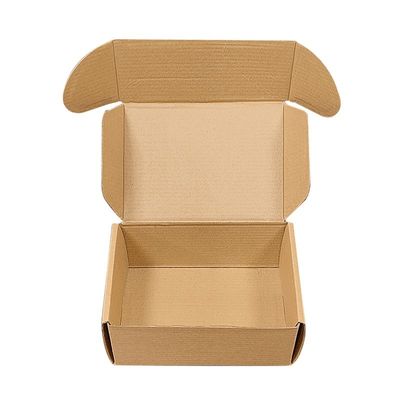 Kraftpapier-Mailer-Boxen für den Einzelverkauf Verpackung Recycelbare Wellkarton-Mailer-Boxen